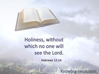 Hebrews 12:14